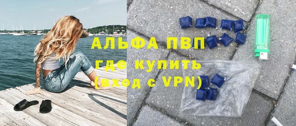 PSILOCYBIN Беломорск
