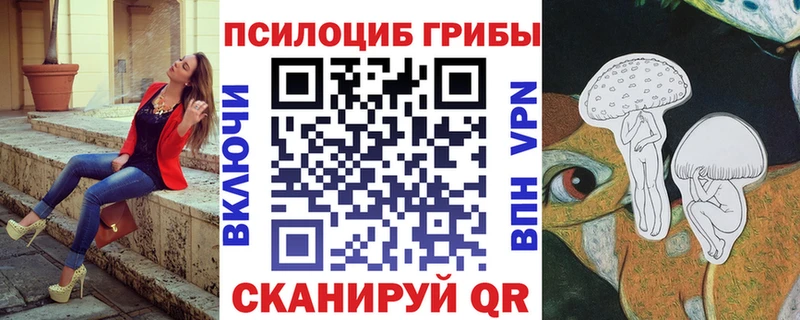Псилоцибиновые грибы мицелий  Бор 