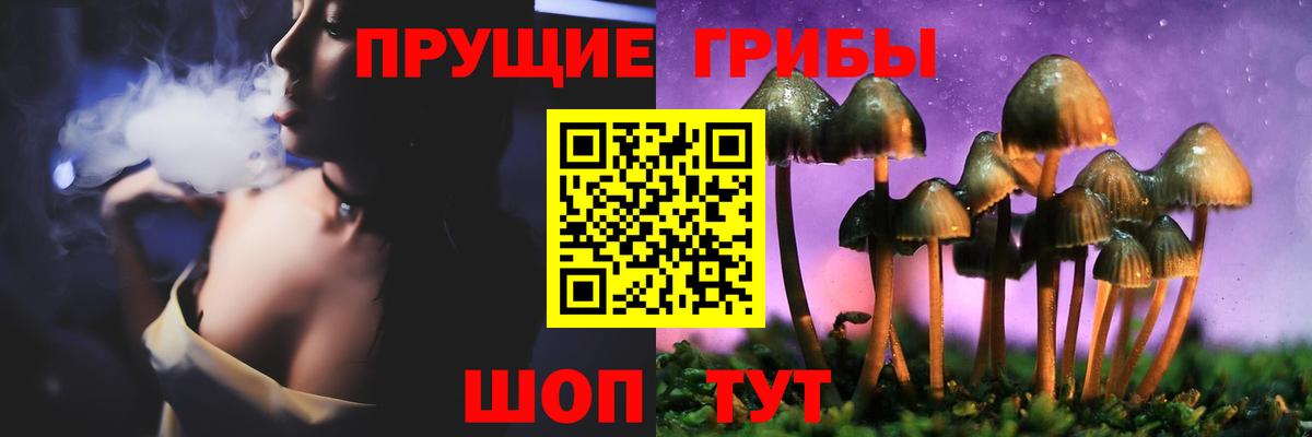 Галлюциногенные грибы Psilocybe Бор