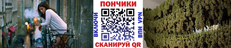 купить  сайты  Бор  Каннабис White Widow 